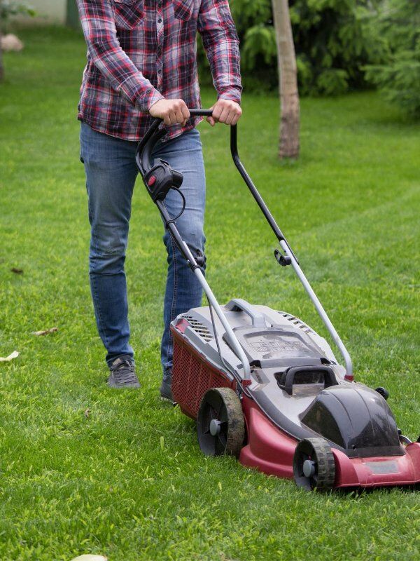 Lawn maintenance and mowing services near me hot sale